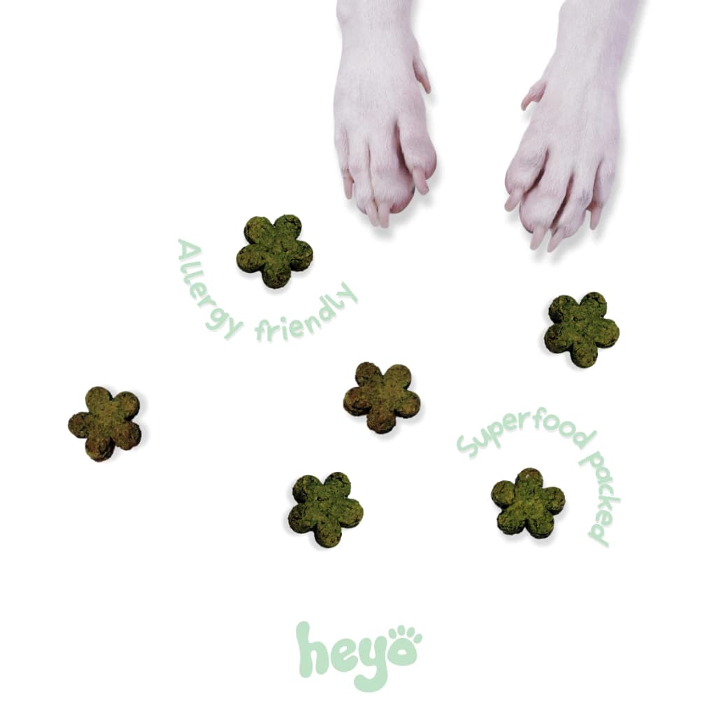 Heyo Coconut Oil & Basil - Image 4