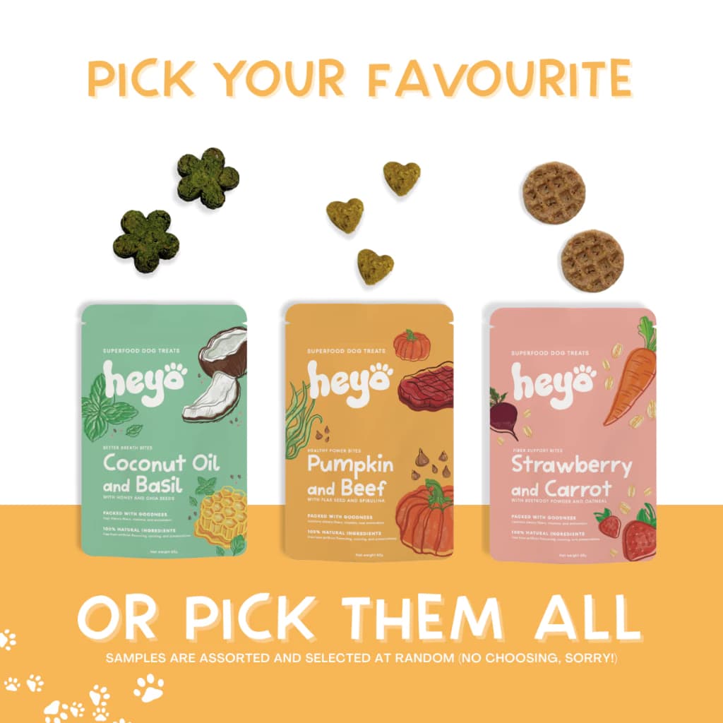 Heyo Little and Large Bundle - Image 2