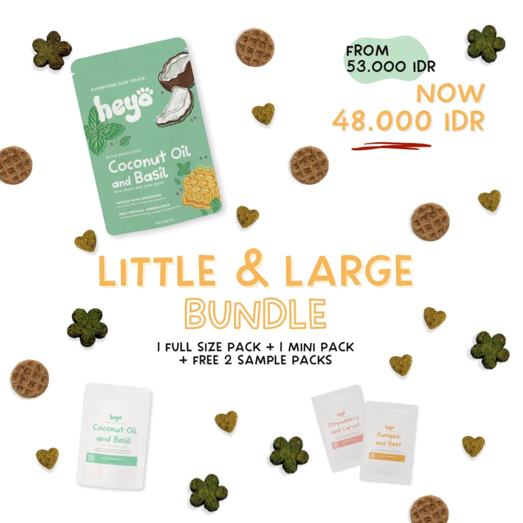 Little and Large Bundle
