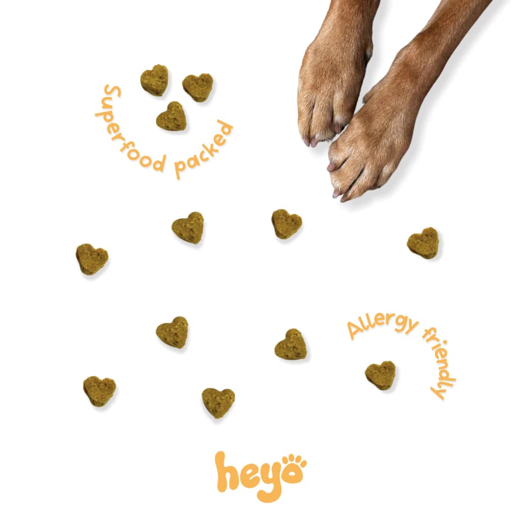 Heyo Mini Pack Pumpkin and Beef - Image 5