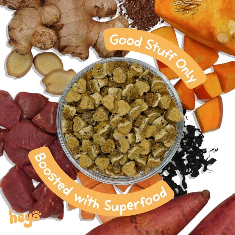 Heyo Pumpkin & Beef - Image 2