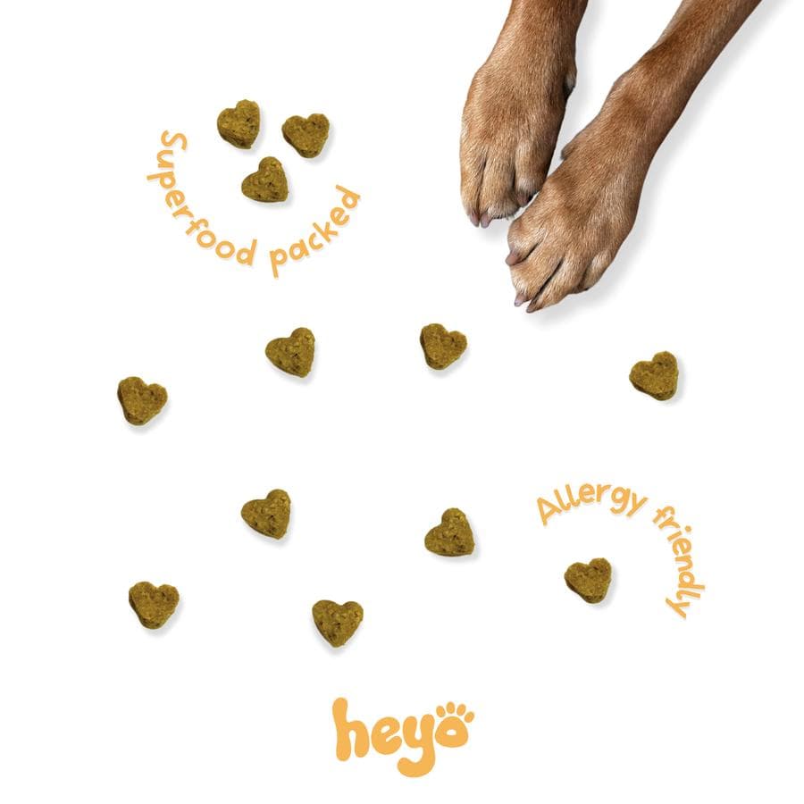 Heyo Pumpkin & Beef - Image 5
