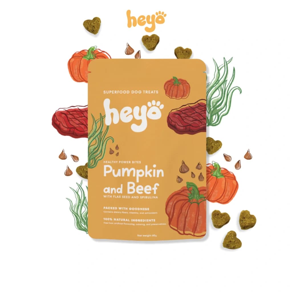 Pumpkin & Beef