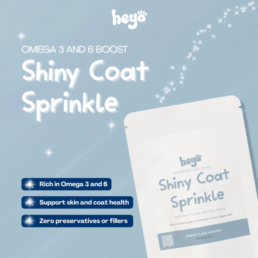 Shiny Coat Sprinkle